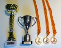 Coupes et médailles du Tournoi interne 2016